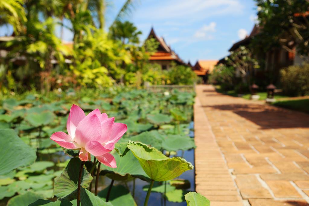 Khaolak Bhandari Resort & Spa Καο Λακ Εξωτερικό φωτογραφία